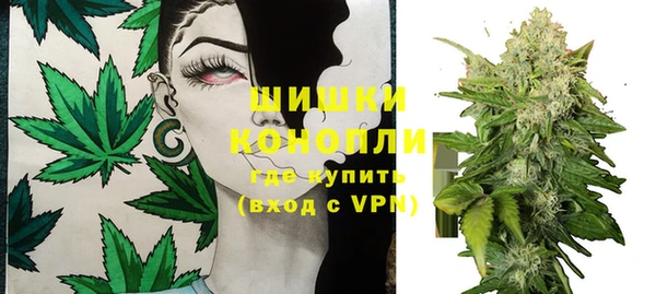 ГАЛЛЮЦИНОГЕННЫЕ ГРИБЫ Абдулино