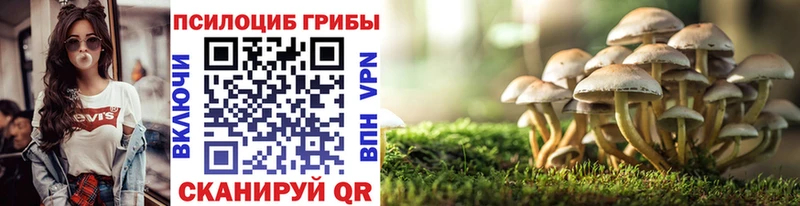 Галлюциногенные грибы Cubensis МЕГА как зайти Бавлы